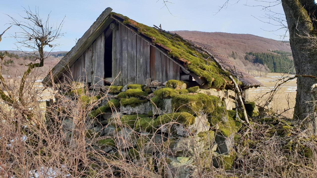 Kaline 2 Apartman Wildflecken Kültér fotó