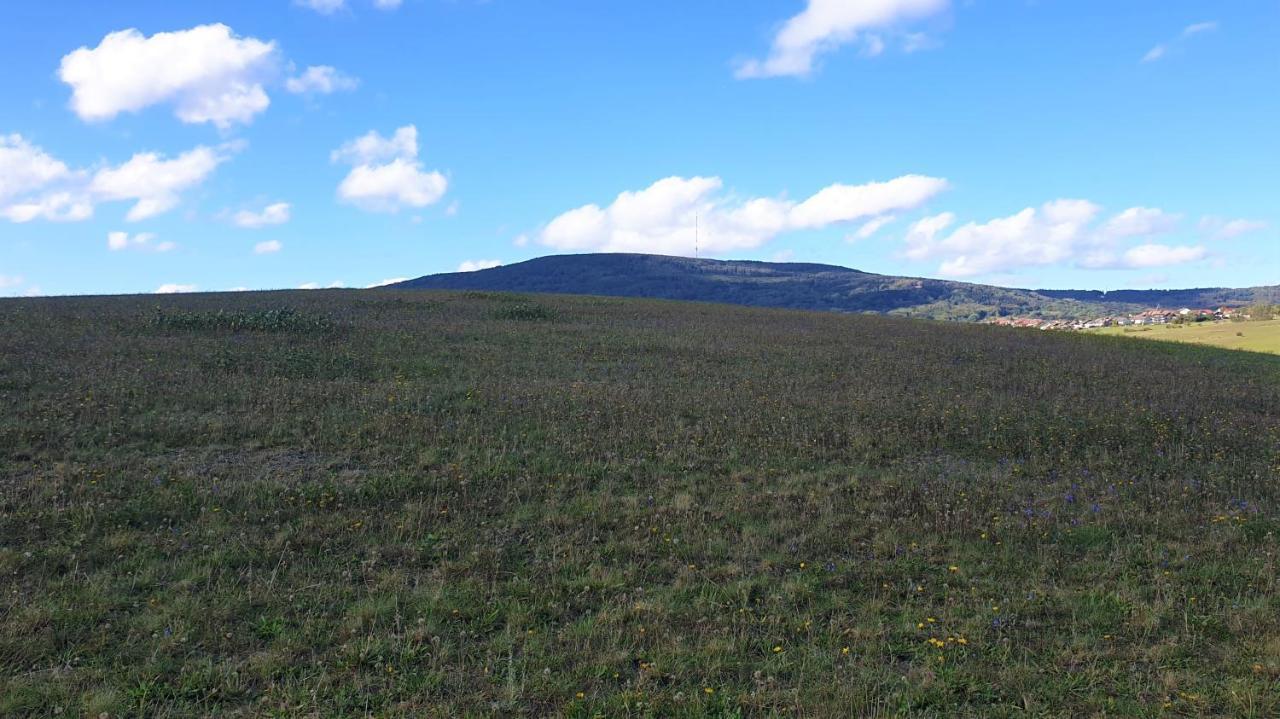 Kaline 2 Apartman Wildflecken Kültér fotó