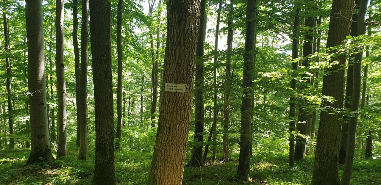 Kaline 2 Apartman Wildflecken Kültér fotó