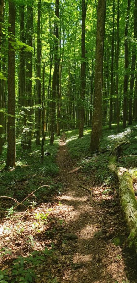 Kaline 2 Apartman Wildflecken Kültér fotó